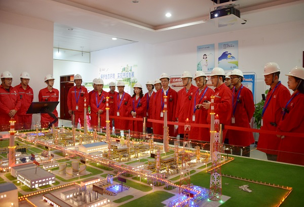 省能源局督导组来苍督导油气项目事<font color='red'>中</font>事后监管和安全检查工作