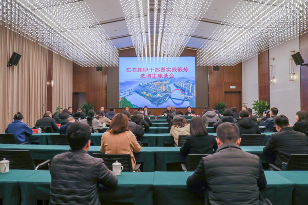 苍溪县召开挂职<font color='red'>干部</font>暨实践锻炼选调生座谈会