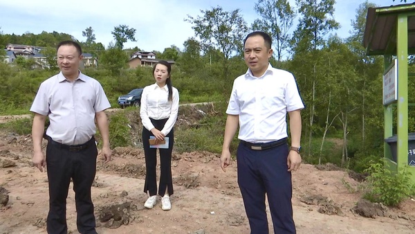 谢<font color='red'>龙</font>飞到亭子镇督导疫情防控、抢种抢收、防汛减灾工作