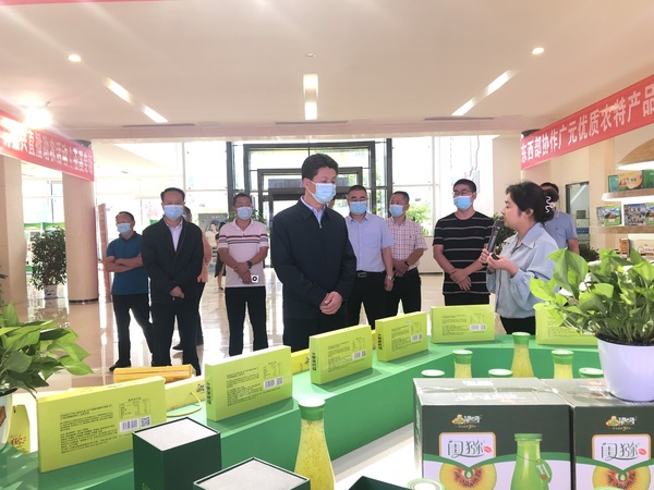 <font color='red'>李</font>昱隆来苍调研猕猴桃产业发展工作