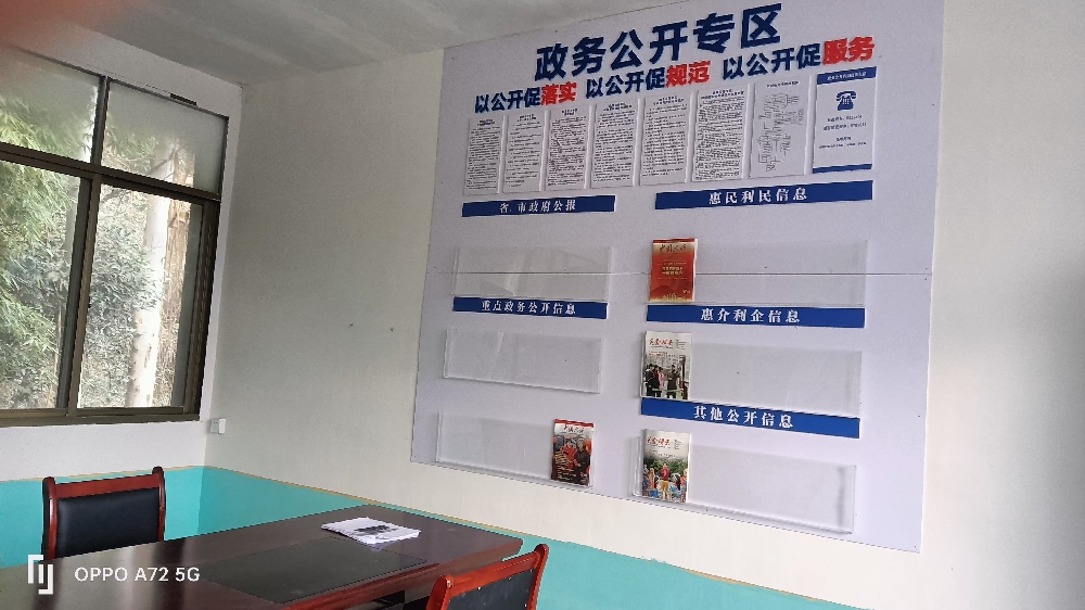 漓江镇龙顶村政务公开专区建设