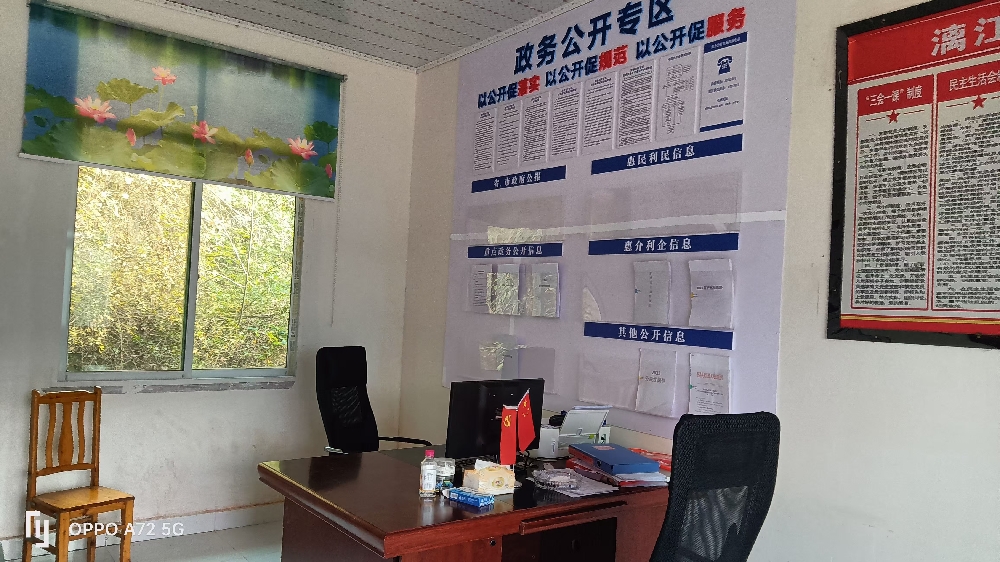 漓江镇三溪村政务公开专区建设