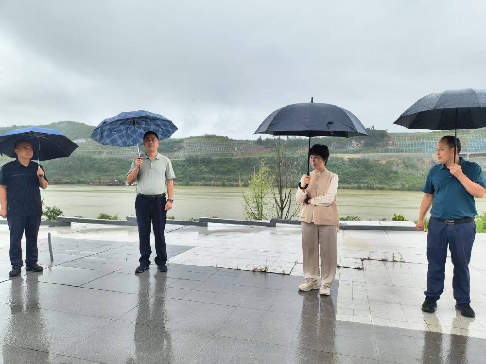 刘素英来我县调研医疗次中心建设 学校特色发展暨校园...