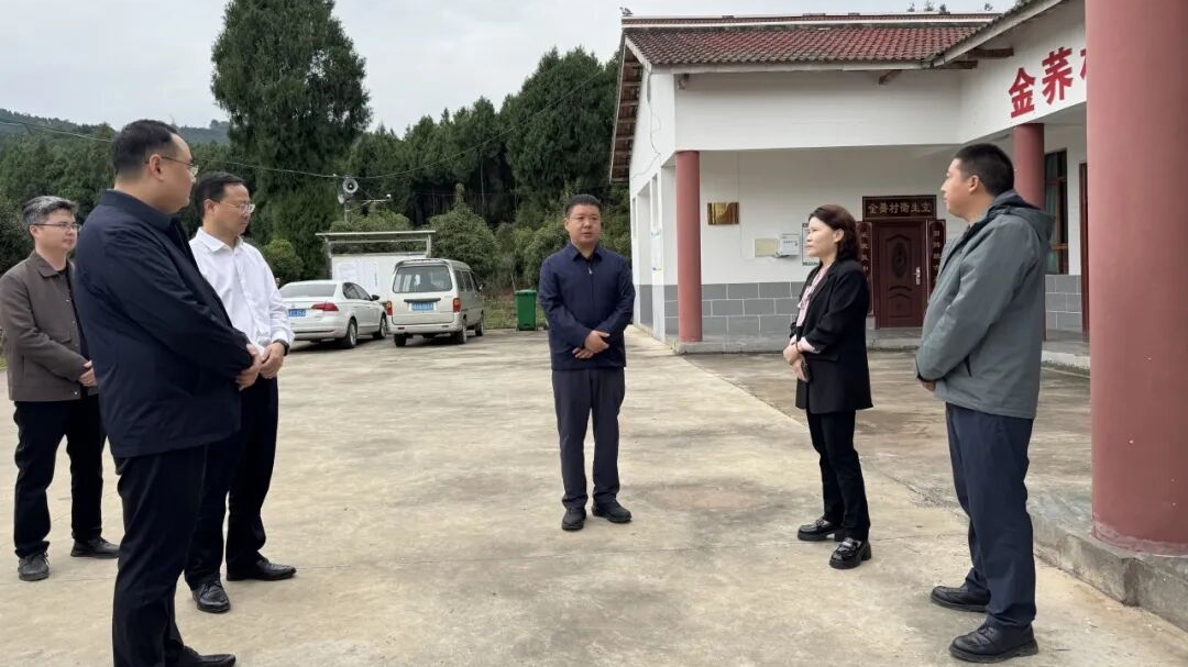 任云调研乡村振兴、重点项目建设、群众身边不正之风及...