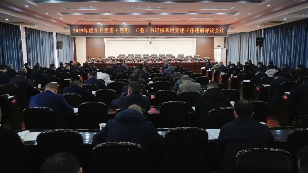 2025年度全县党委（党组、工委）书记抓基层党建工作述...