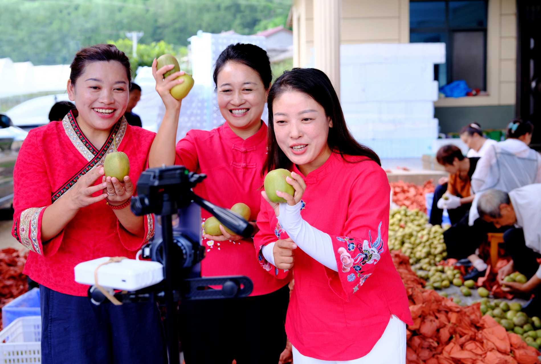 东西部协作赋能“梨乡”劳务品牌成为共富新引擎