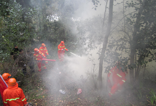 <font color='red'>东</font>溪镇开展森林防火应急演练