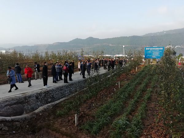 <font color='red'>东</font>青镇召开特色产业发展推进会