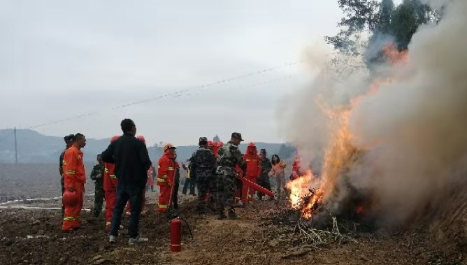<font color='red'>东</font>青镇：开展森林防灭火专项应急演练