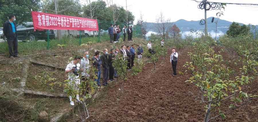 东<font color='red'>青</font>镇2022年晚秋生产暨特色产业秋冬季管护现场会召开