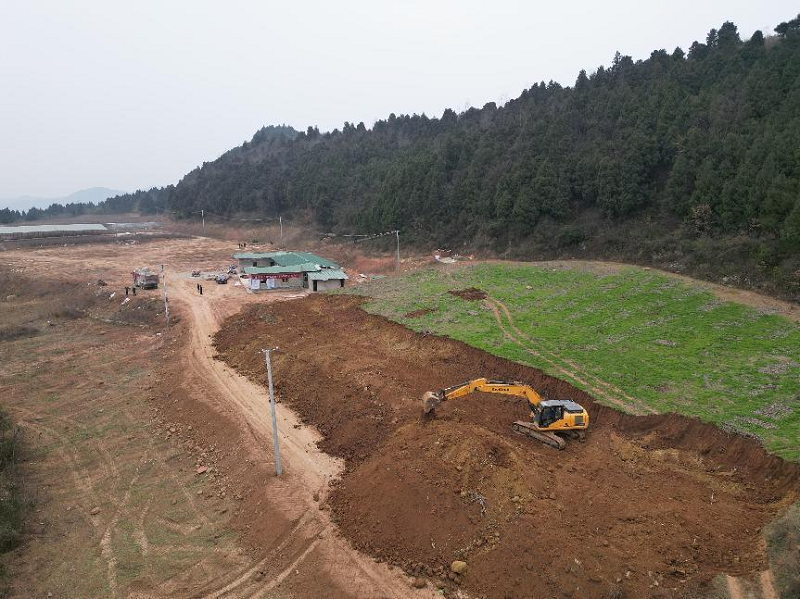 苍溪县东<font color='red'>青</font>镇种羊繁育基地配套设施建设项目正式开工建设