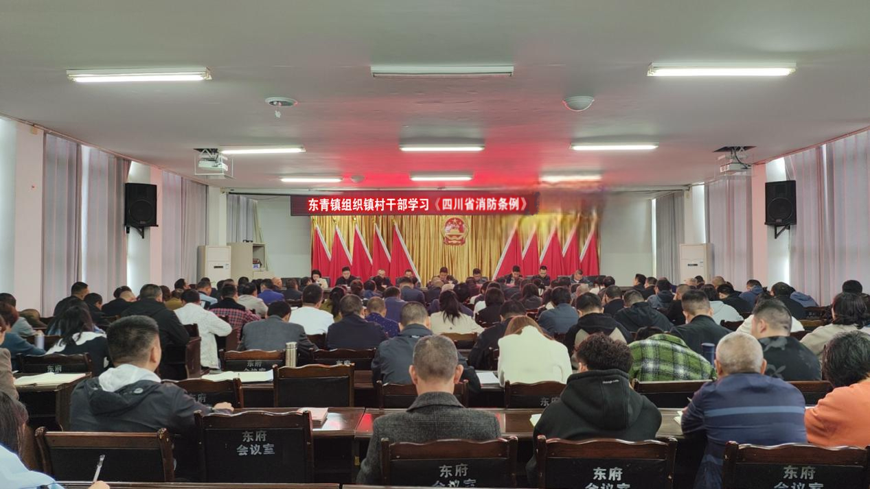 东<font color='red'>青</font>镇集中宣传《四川省消防条例》