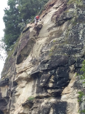 <font color='red'>东</font>溪镇：积极开展道路排危工作