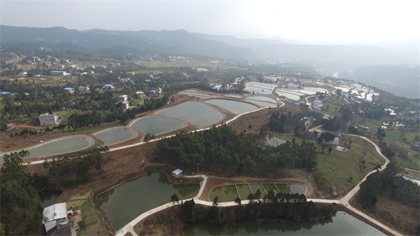 苍溪县石门乡<font color='red'>中</font>梁村创新开展利益联结机制 有效解决村集体经济组织“空壳化”