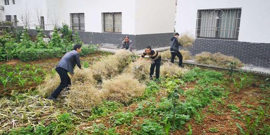 县政府办、县司法局组织帮扶<font color='red'>干部</font>开展“双抢”活动